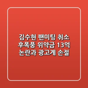 김수현 팬미팅 취소 후폭풍 위약금 13억 논란과 광고계 손절