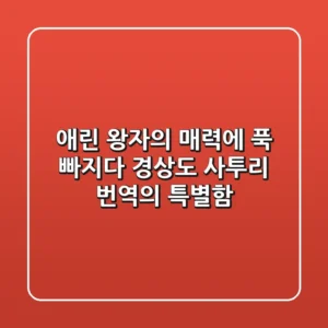 애린 왕자의 매력에 푹 빠지다! 경상도 사투리 번역의 특별함