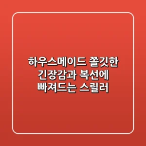 하우스메이드: 쫄깃한 긴장감과 복선에 빠져드는 스릴러