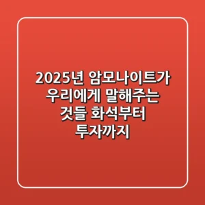 2025년, 암모나이트가 우리에게 말해주는 것들: 화석부터 투자까지