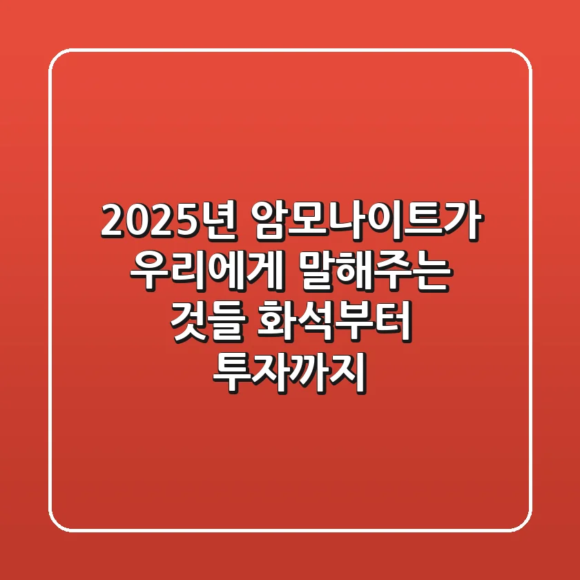 2025년, 암모나이트가 우리에게 말해주는 것들: 화석부터 투자까지