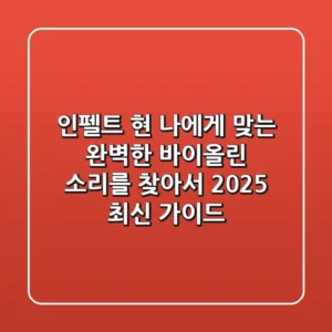 인펠트 현, 나에게 맞는 완벽한 바이올린 소리를 찾아서 (2025 최신 가이드)