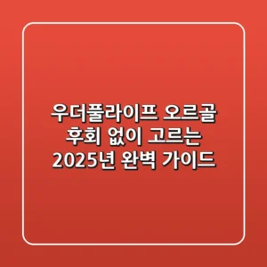 우더풀라이프 오르골, 후회 없이 고르는 2025년 완벽 가이드