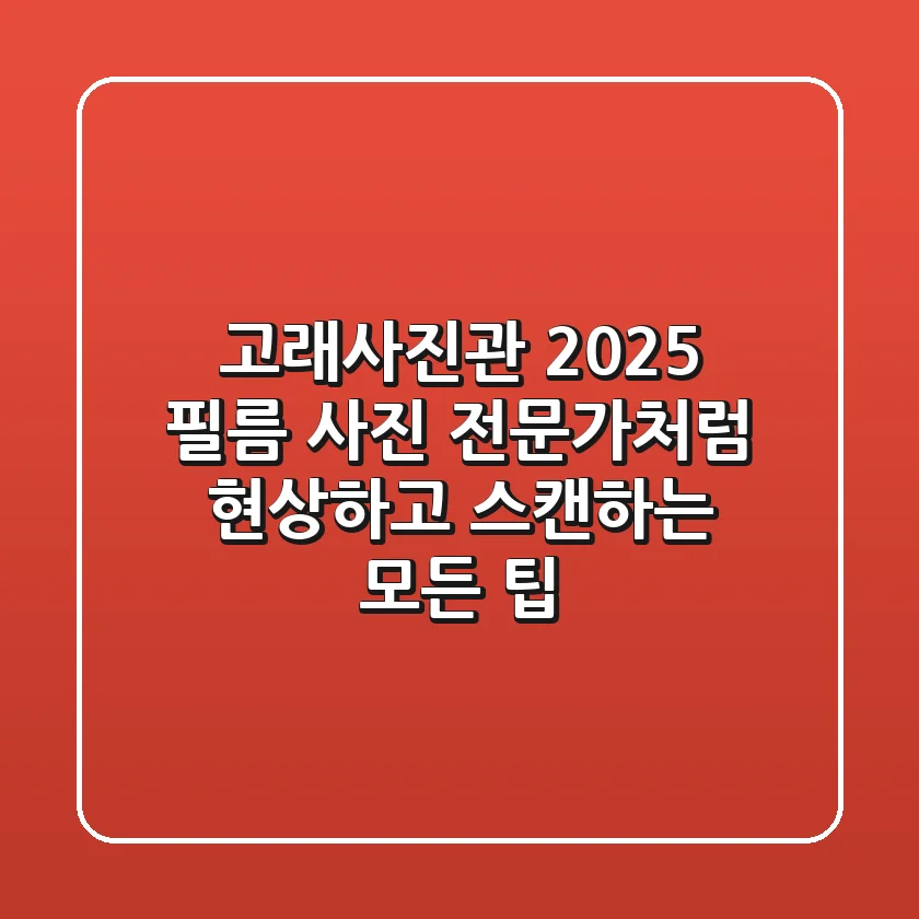 고래사진관 2025, 필름 사진 전문가처럼 현상하고 스캔하는 모든 팁