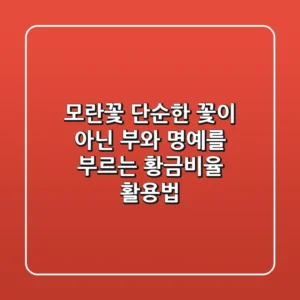 모란꽃, 단순한 꽃이 아닌 '부와 명예'를 부르는 황금비율 활용법