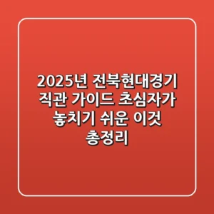 "2025년 전북현대경기 직관 가이드", 초심자가 놓치기 쉬운 '이것' 총정리