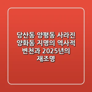 "당산동? 양평동?", 사라진 양화동 지명의 역사적 변천과 2025년의 재조명